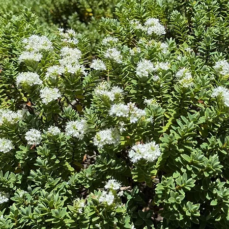 In Lucia - Der Traum Am Bach דירה לויקרבאד